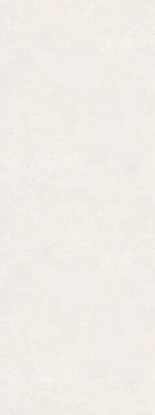 サイズ : 900mm×2,400mm 、scale 1/10(200dpi)