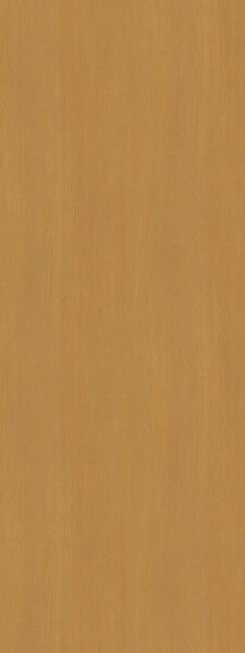 900×2400サイズ