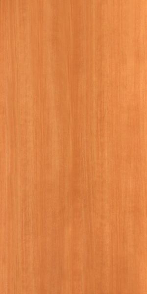 製品画像