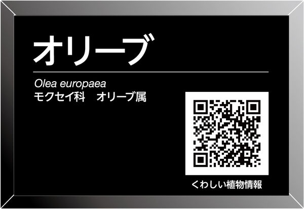 表示面例