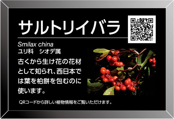 表示面例