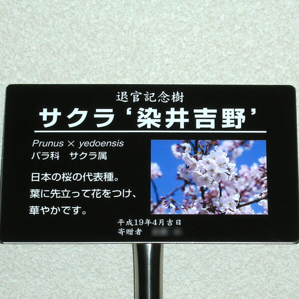 製品画像