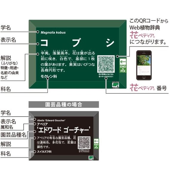 製品画像