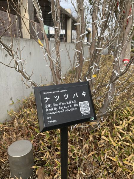 製品画像