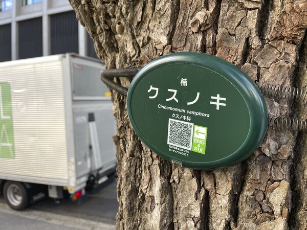製品画像