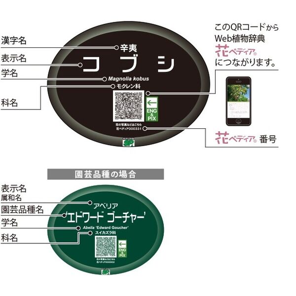 製品画像