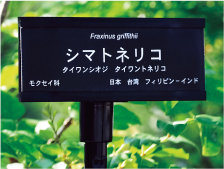 製品画像
