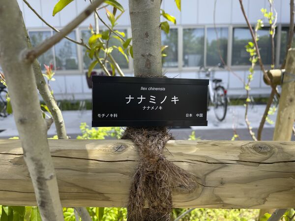 製品画像