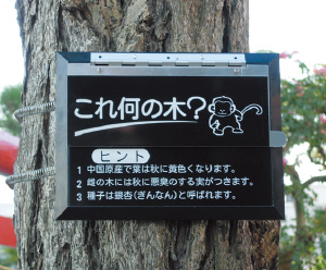 製品画像
