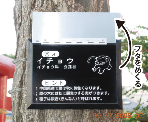 製品画像