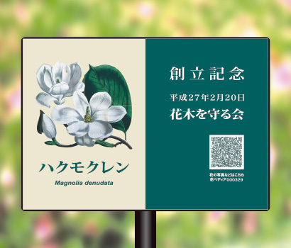製品画像