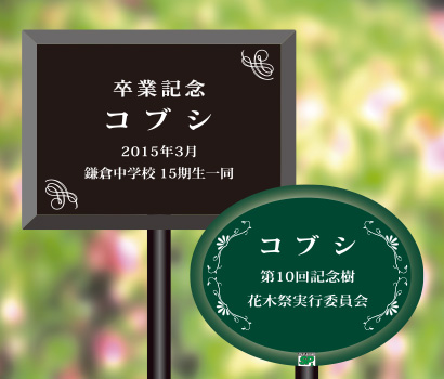製品画像