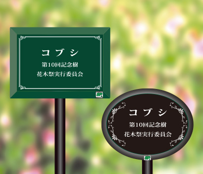 製品画像