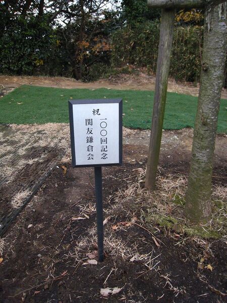 製品画像