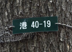 製品画像