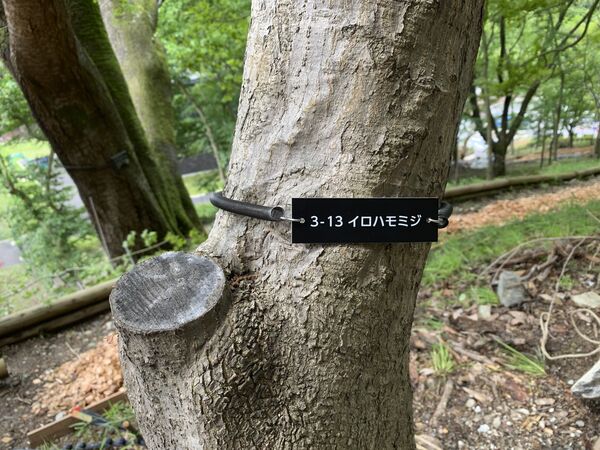 製品画像