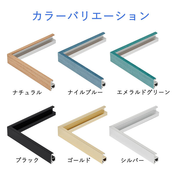 カラーバリエーション