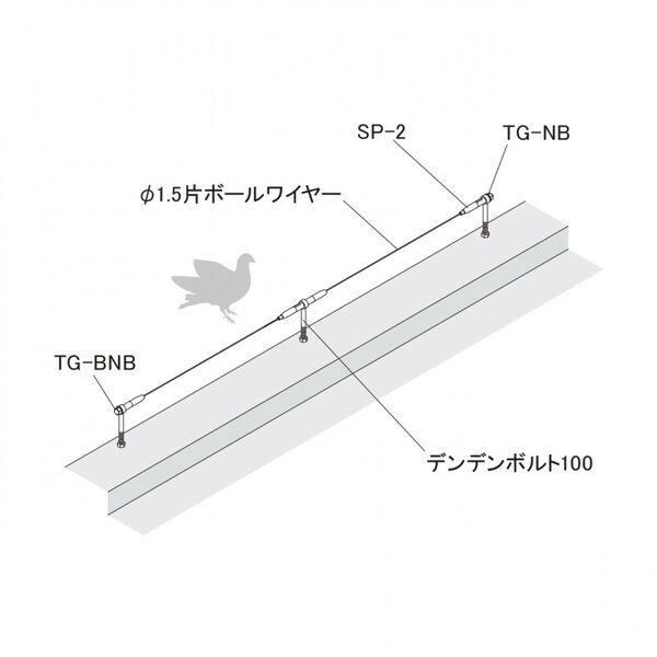 製品画像