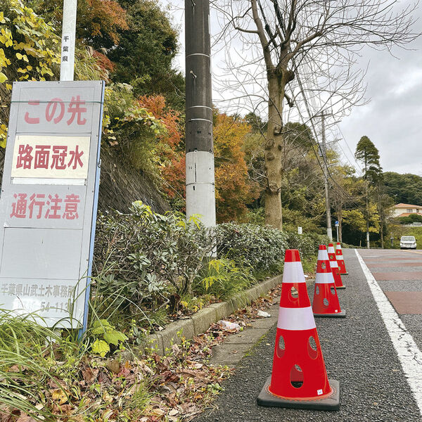 製品画像