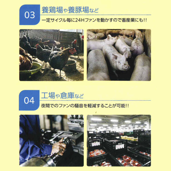 特徴