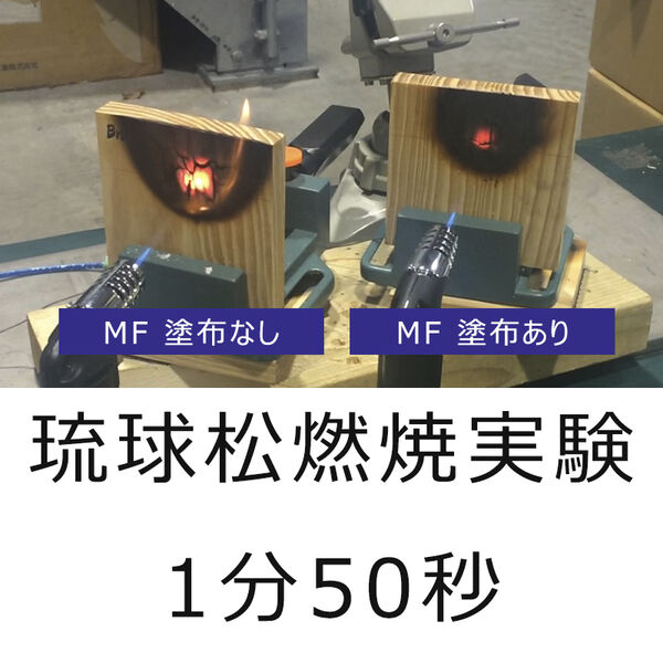 琉球松燃焼実験 1分50秒