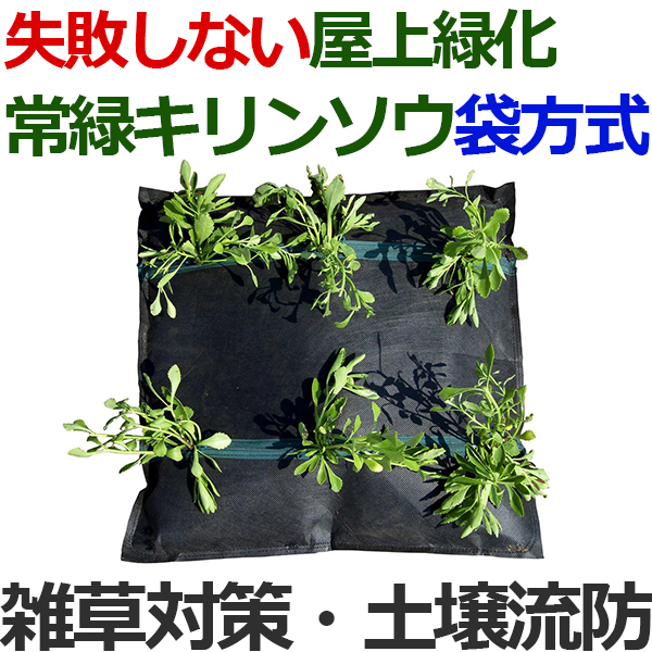 常緑キリンソウ袋方式