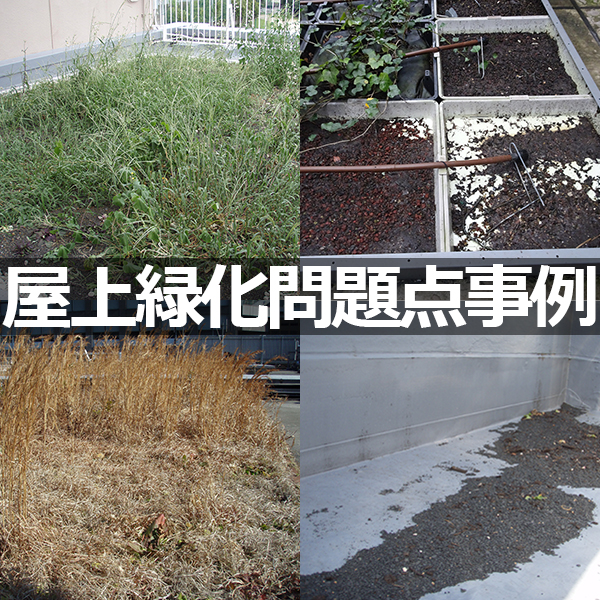 屋上緑化の問題点事例