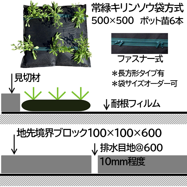常緑キリンソウ袋方式標準断面図