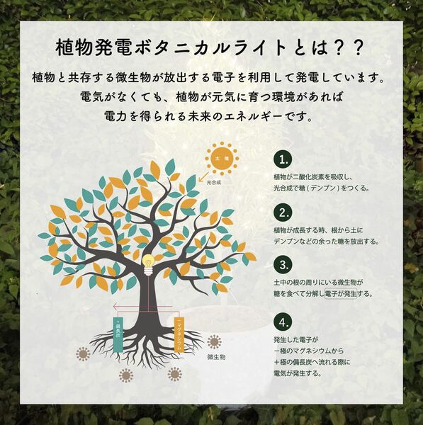 製品画像