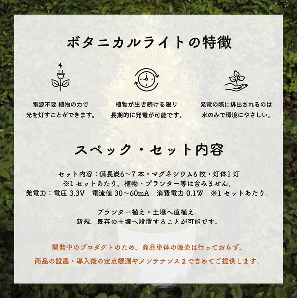 製品画像