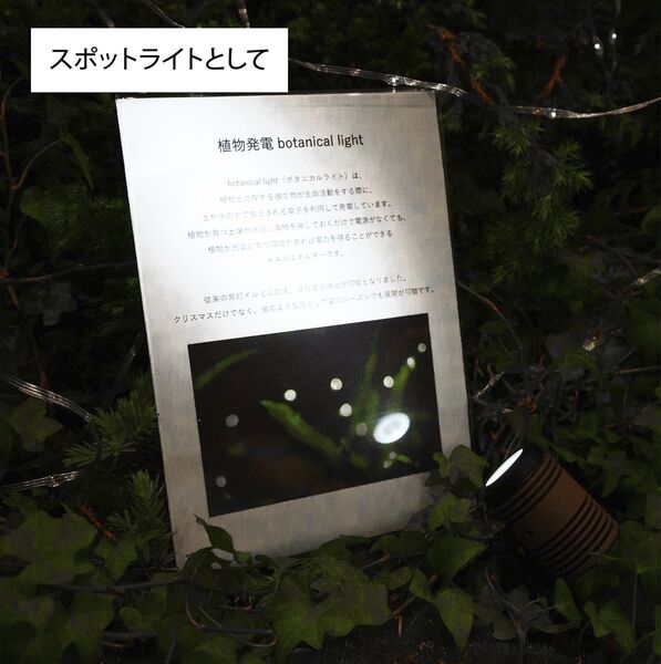 製品画像