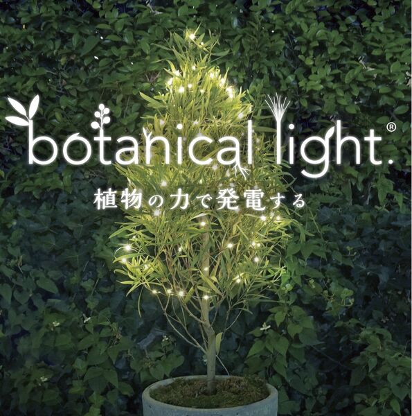 製品画像