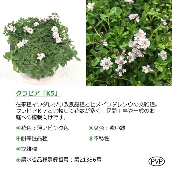 製品詳細