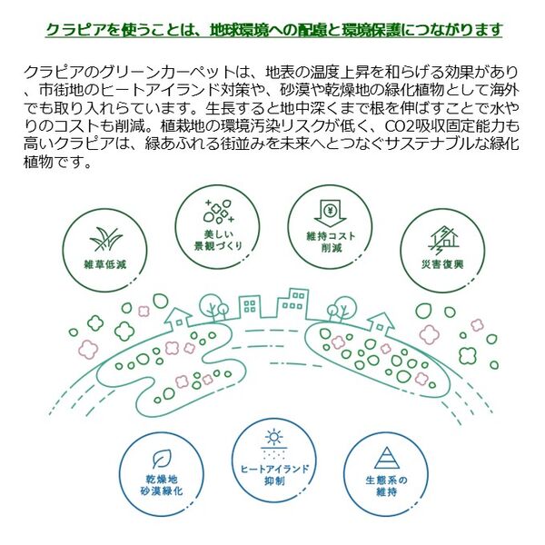 製品詳細