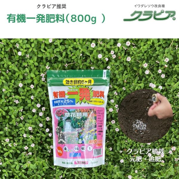 製品画像
