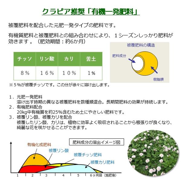 製品詳細