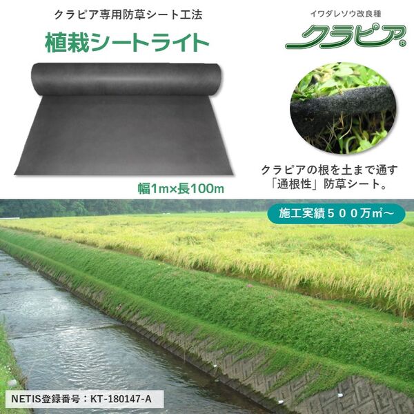 製品画像