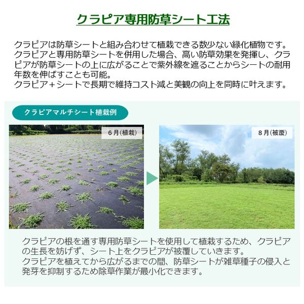 製品詳細
