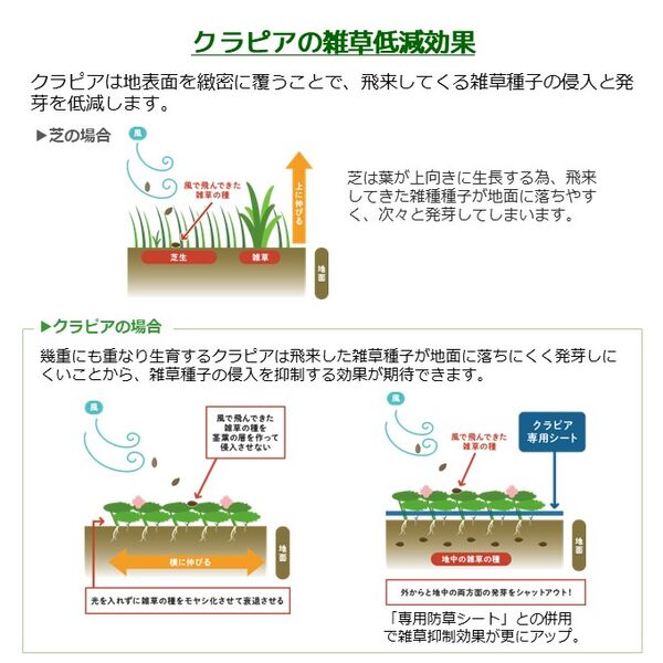製品詳細