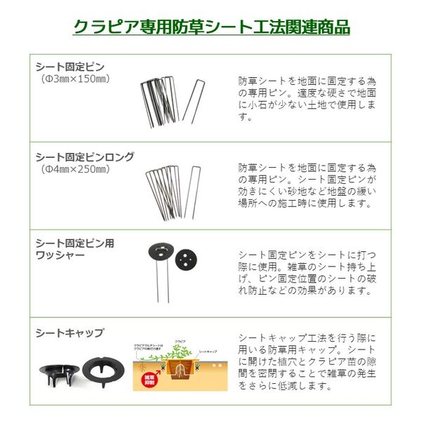 製品詳細