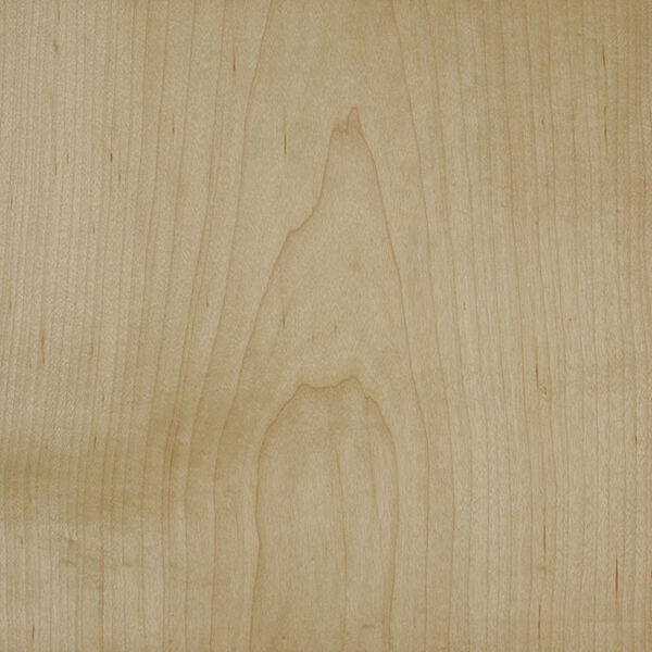 樹種画像