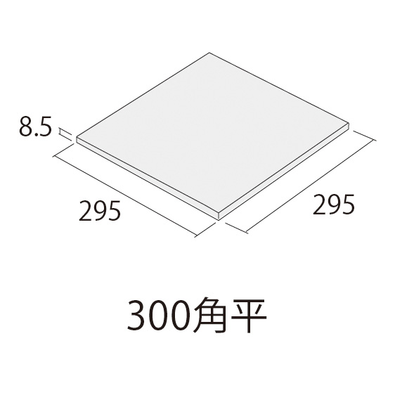 製品画像