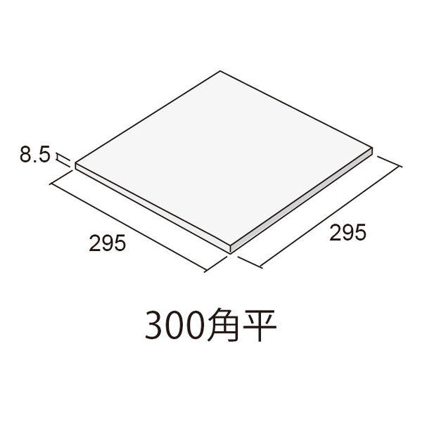 製品画像
