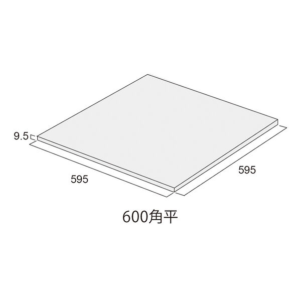 製品画像