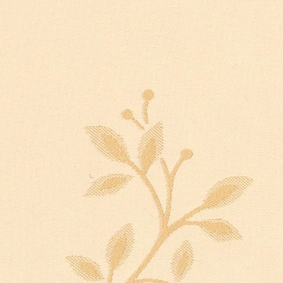 example