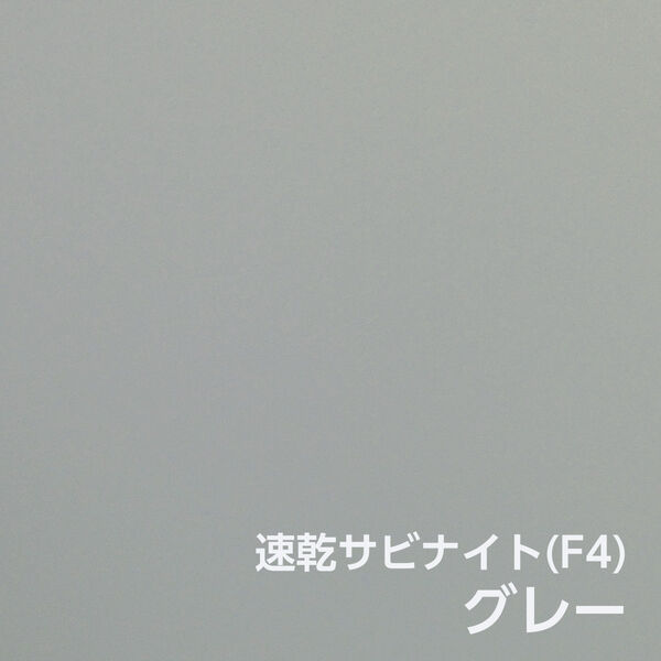 色画像