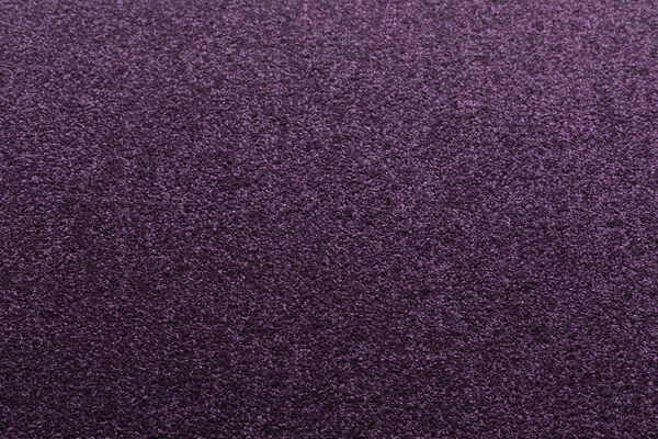 チップ画像