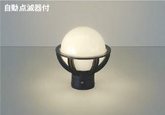本体画像