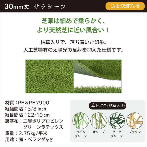 サラターフ 草丈30mm(gf12-30)