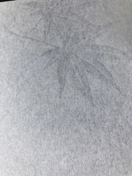 製品画像